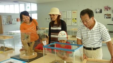 夏休み昆虫展