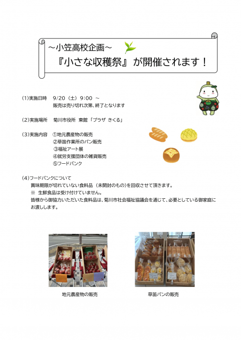 チラシ
