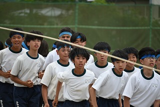 31n3