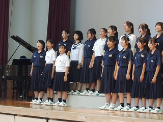 11c4