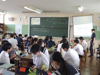 11kk6