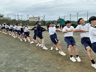 30t6
