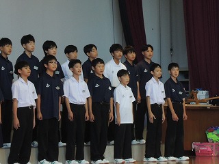 11c8
