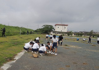 31a9