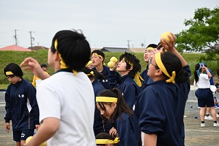 29t11