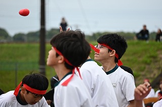 29t14