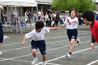 29r15