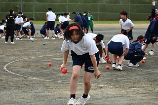 29t15