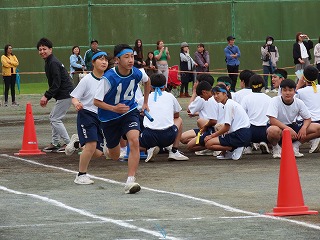 31r16