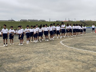 23p19