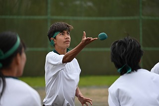 29t20
