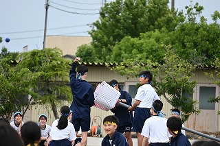29t23