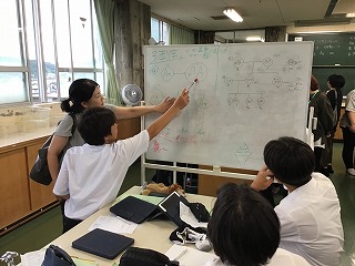 13sk24