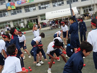 29t24