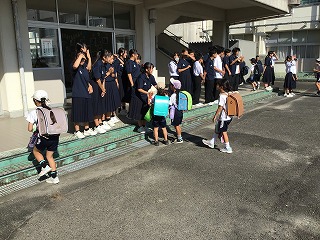 11p31