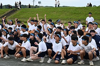 29t33