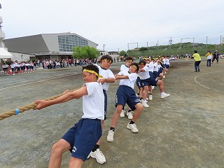 30t35