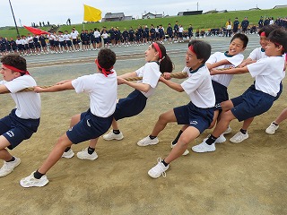 30t36