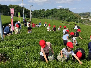 0428grenntea14