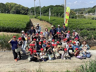 0428grenntea17