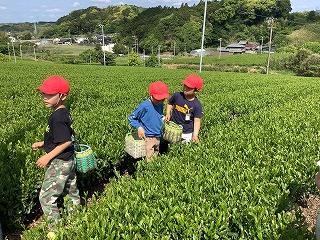 0428grenntea6