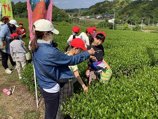 0428grenntea7