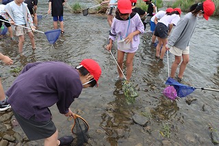 0509chiikitanbo10