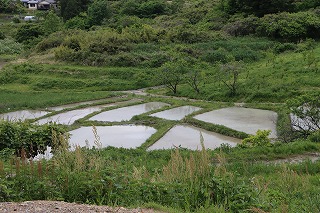 0509sengamachi10