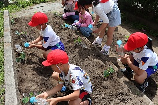0513vegegarden10