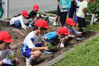 0513vegegarden2