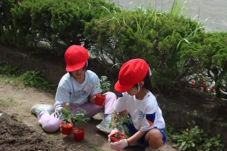 0513vegegarden3