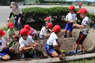 0513vegegarden4