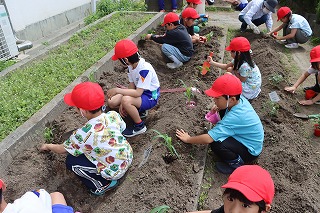 0513vegegarden6