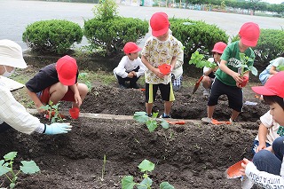 0527vegetable2nd6