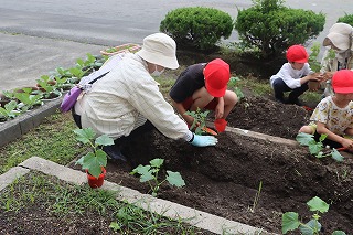 0527vegetable2nd7