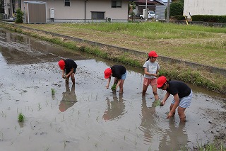 0527taue1