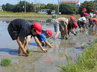 0606taue8