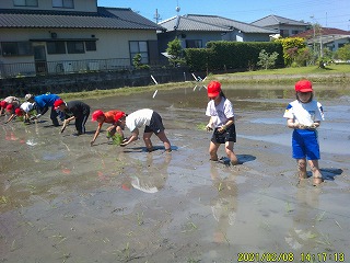 0606taue7