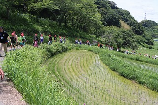 0617tanada7
