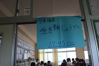 0714ikimono12