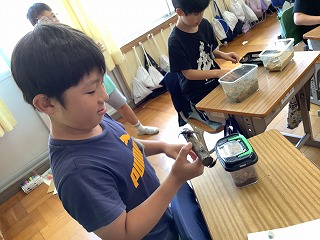 0714ikimono4