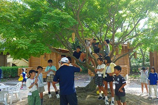 0806hitsurugicamp2