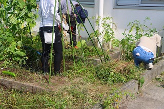 0823houshisagyo10