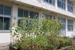 0826ground4