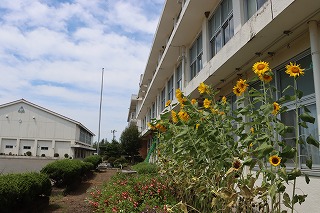 0826ground5