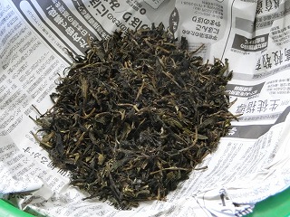 0909fukamushi10