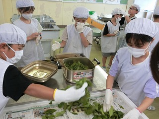 0909fukamushi4