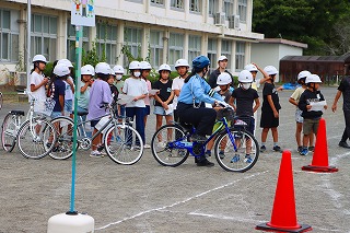 1014bikelicence5
