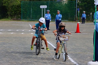 1014bikelicence9