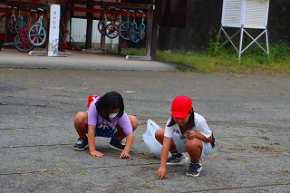1020kusatoritaikai10